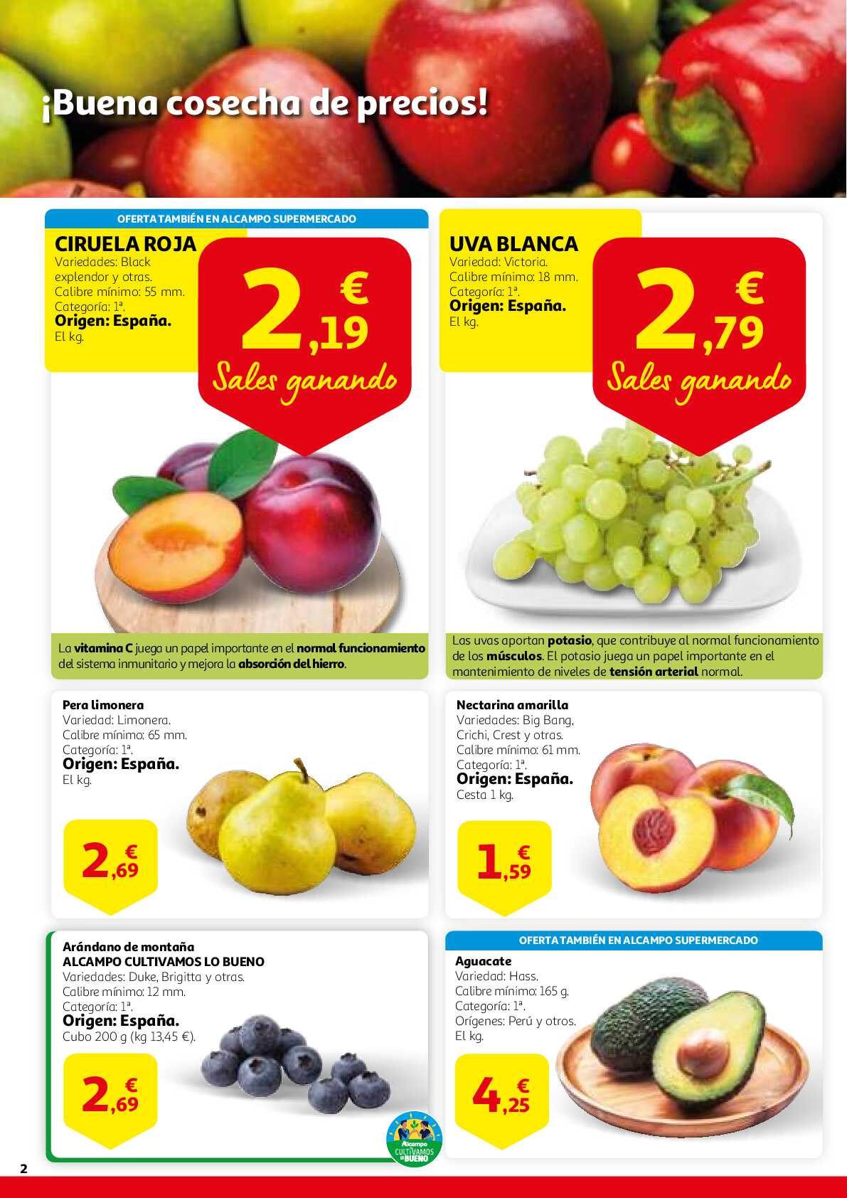 Saborea el verano al mejor precio Alcampo. Página 02