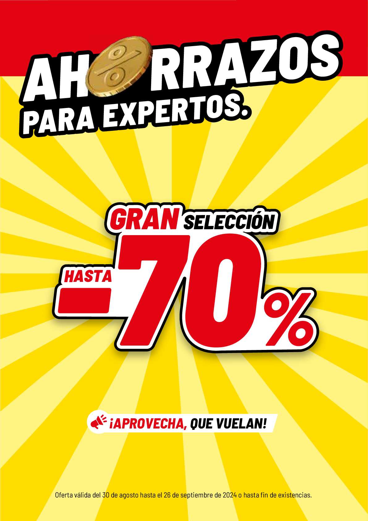 Gran slección hasta -70% Brico Depot. Página 20