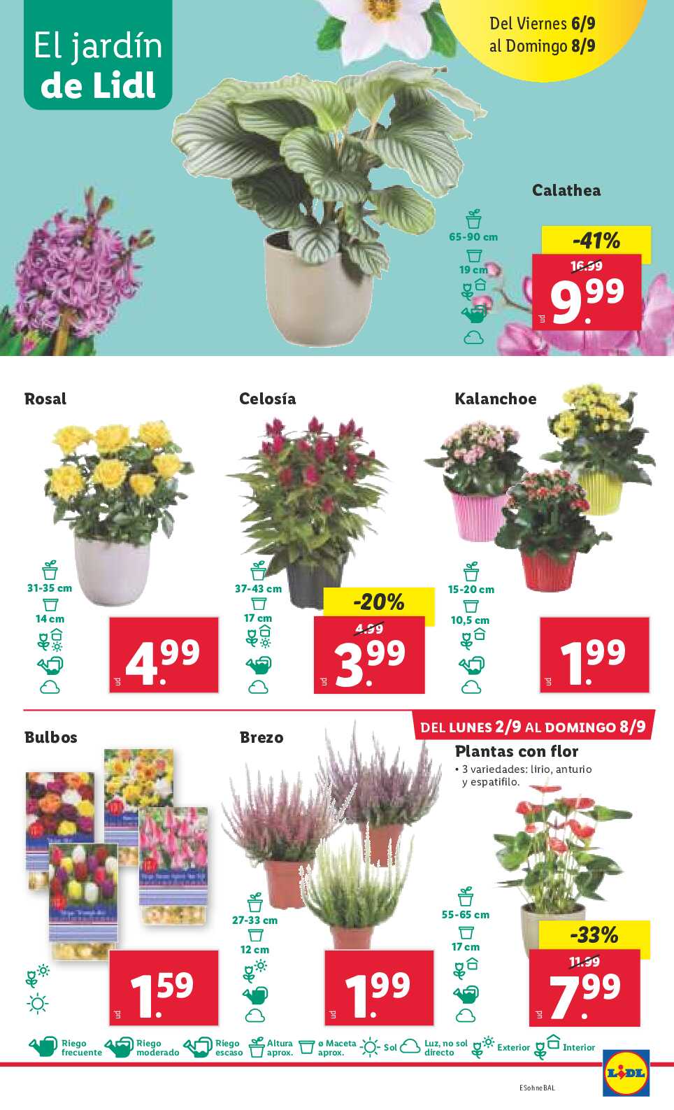 Folleto bazar Lidl. Página 39