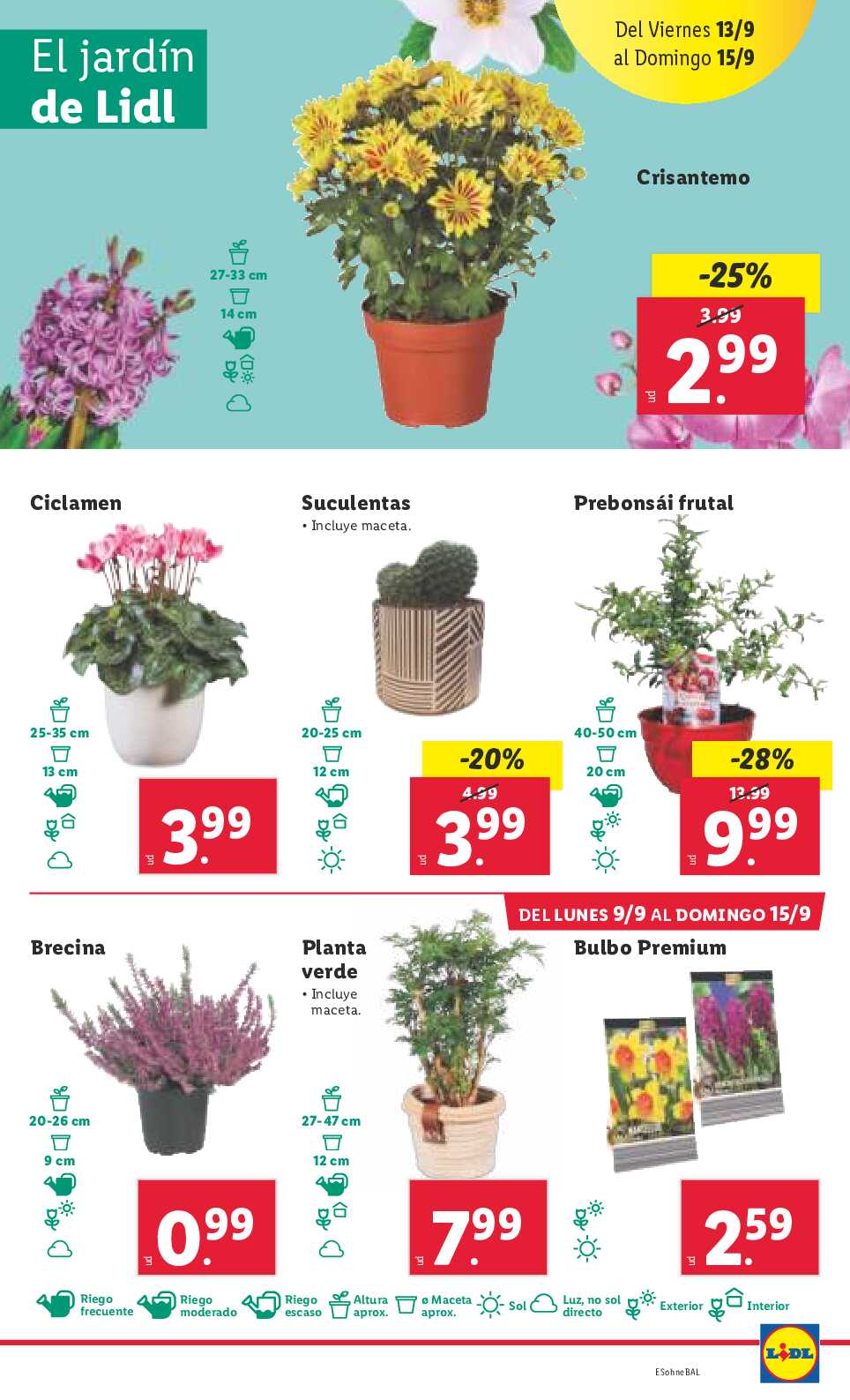 Folleto bazar Lidl. Página 45