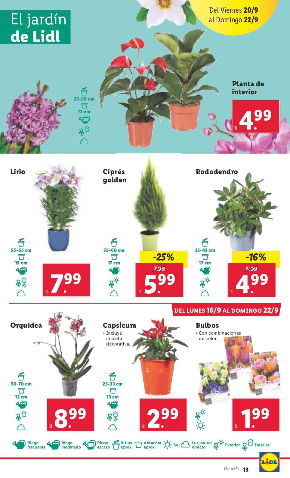 Folleto semanal Lidl. Página 15